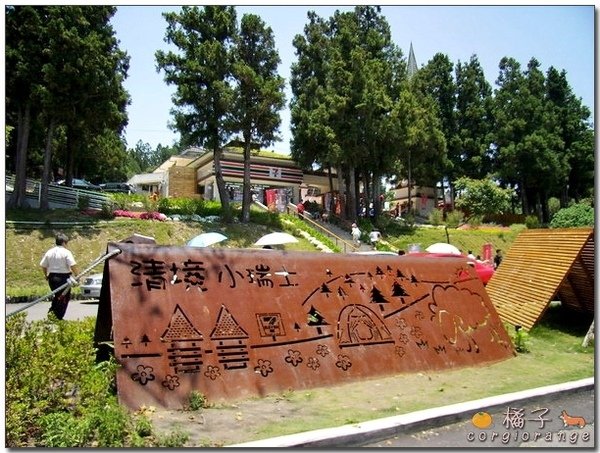南投清境、合歡山4.jpg