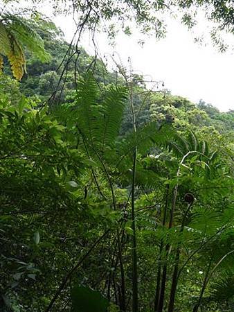 P1020614.JPG