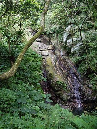 P1020616.JPG