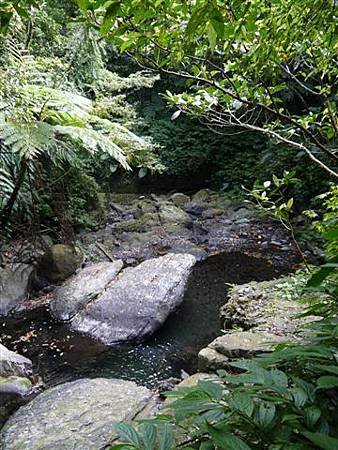 P1020619.JPG