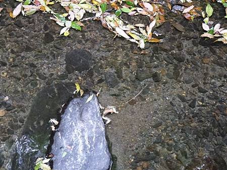 P1020621.JPG