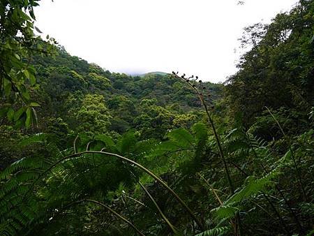 P1020635.JPG