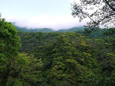 P1020640.JPG