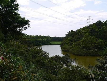 P1020649.JPG