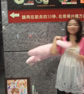 嘉年華南北簽書-顆粒虐兔連拍.gif