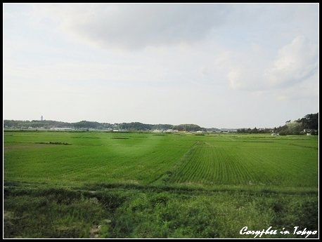 搭著成田特快車窗外風景