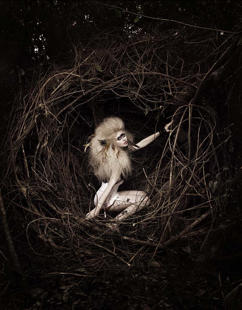 10 - Allison Harvard.jpg