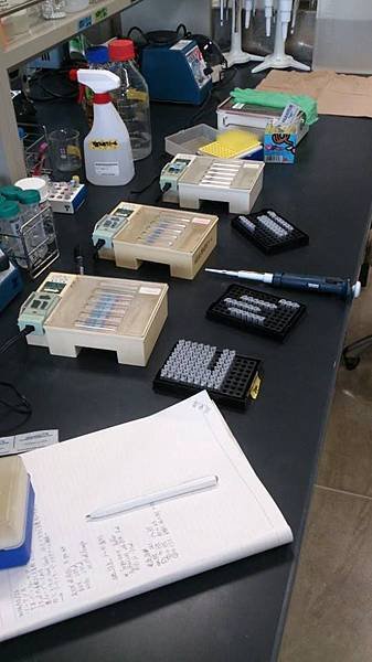 1974653_590715454348459_2056162032_n