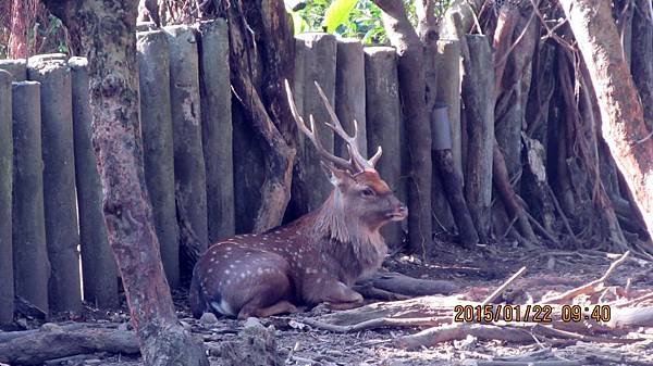 1040122040動物園.JPG