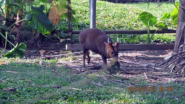 1040122043動物園.JPG