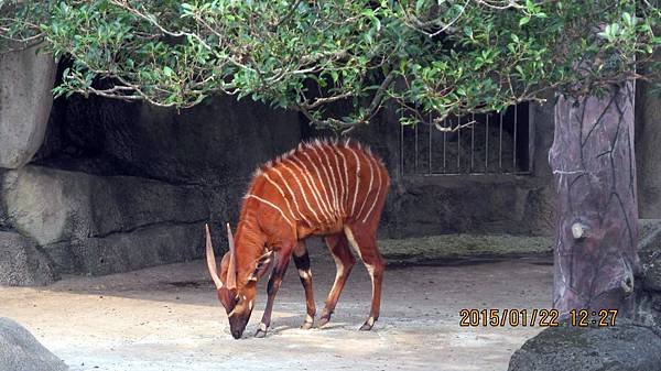 1040122141動物園.JPG