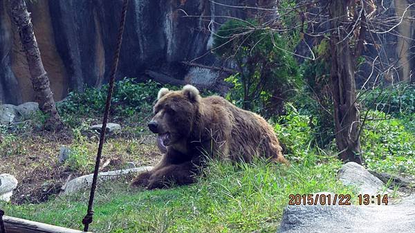 1040122149動物園.JPG