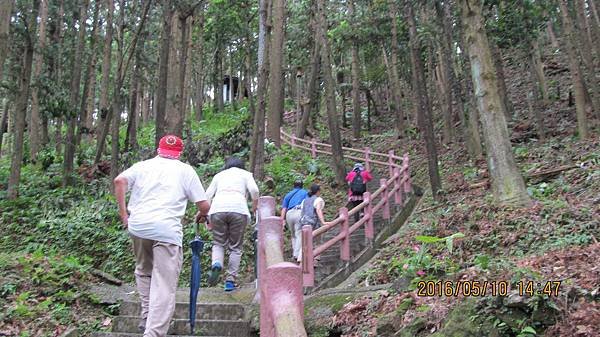 1050510202鳴鳯山古道.jpg