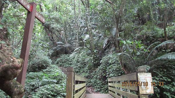 1050510206鳴鳯山古道.jpg