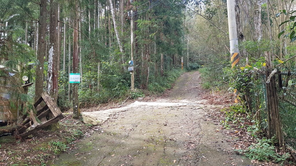 《露營瘋》《車泊車宿》森林系露營區-新竹五峰-輪園秘境超詳細