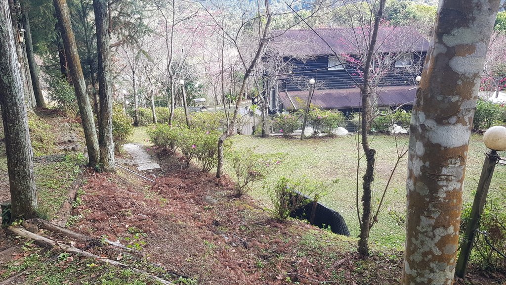 《露營瘋》《車泊車宿》森林系露營區-新竹五峰-輪園秘境超詳細