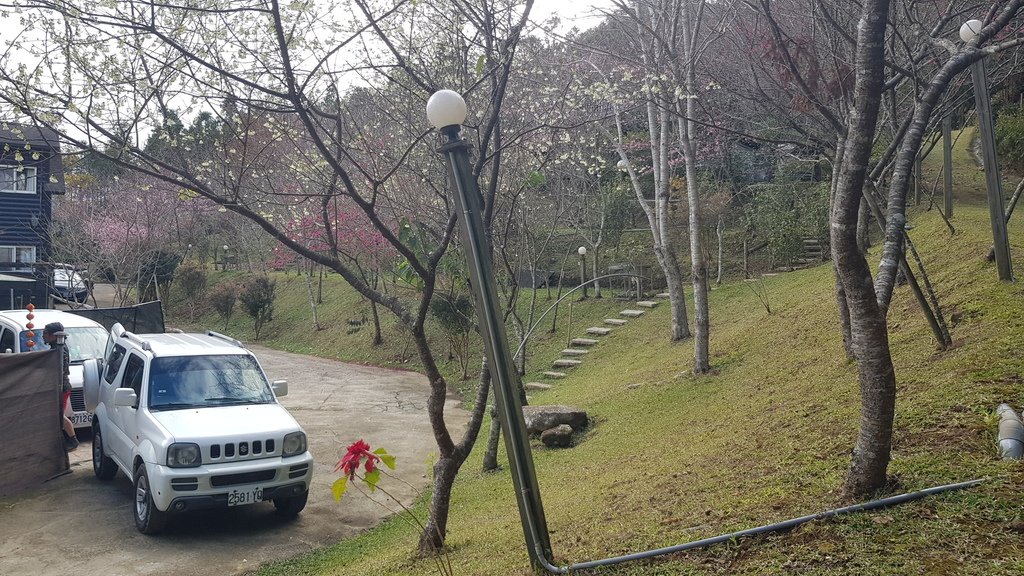 《露營瘋》《車泊車宿》森林系露營區-新竹五峰-輪園秘境超詳細