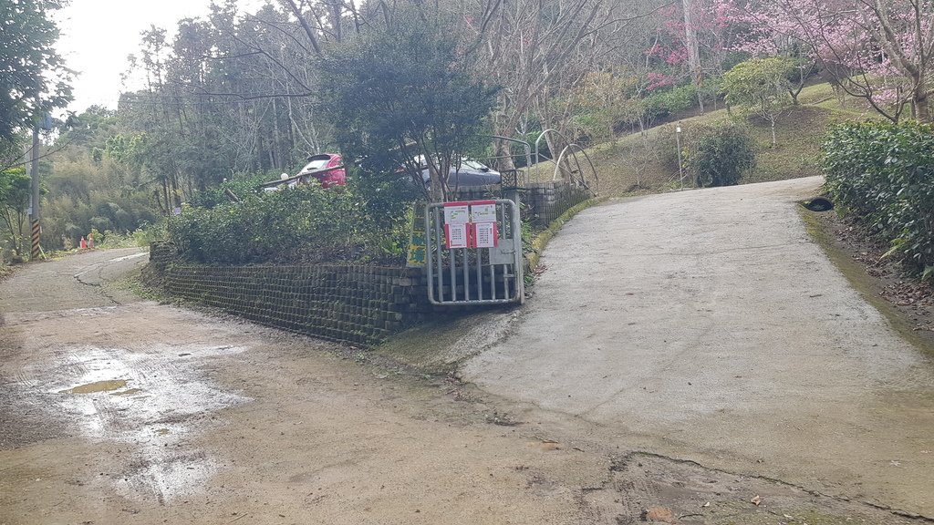 《露營瘋》《車泊車宿》森林系露營區-新竹五峰-輪園秘境超詳細