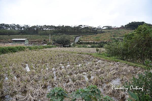 DSC_6834_1.jpg