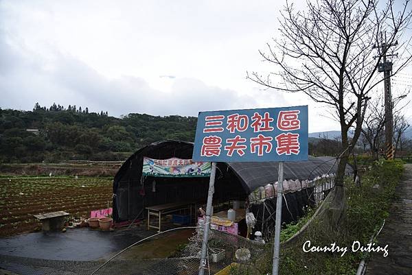 DSC_7002_1.jpg