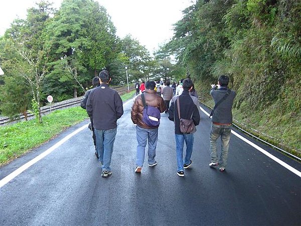 國慶阿里山日出團