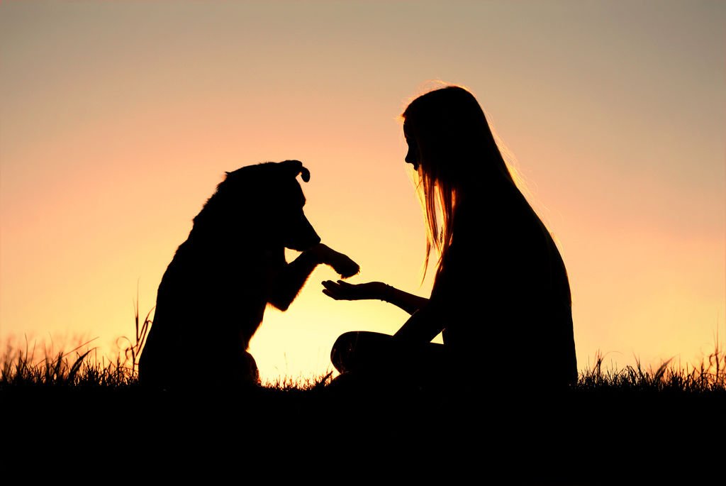 bigstock-Woman-And-Her-Dog-Shaking-Hand-53038867.jpg