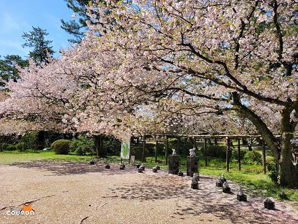 2024年中年追夢-日本機車旅行(出雲大社、嚴島神社、日御碕
