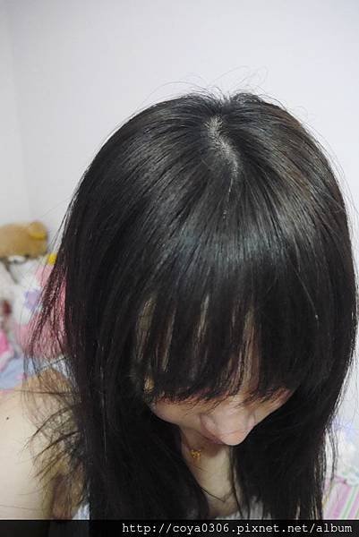 P1070144.jpg
