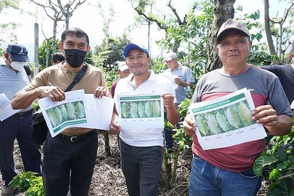 「花神」到底是什麼？原來花神咖啡等於最高品質咖啡