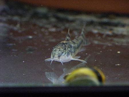 PICT0106.JPG