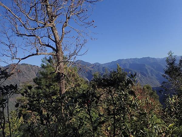 P1312642.JPG