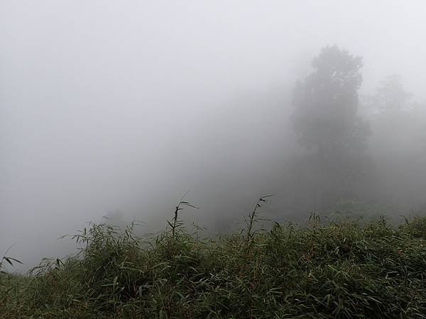 P8072460.JPG