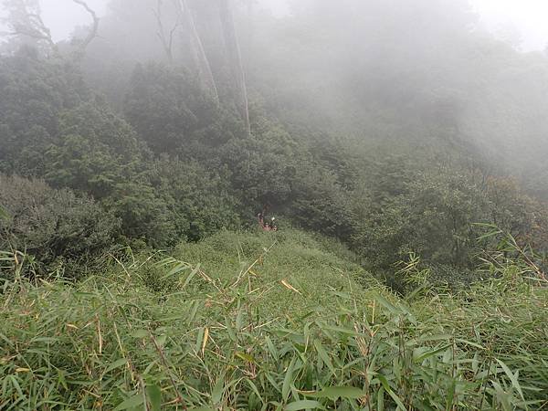 P8072467.JPG