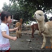照片 33.JPG