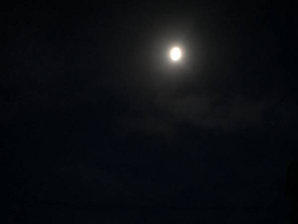 CIMG0050.JPG