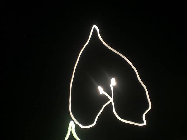 CIMG0061.JPG