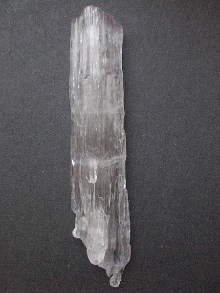CIMG8844.jpg