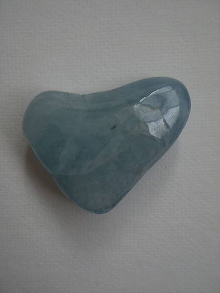 CIMG9558.jpg
