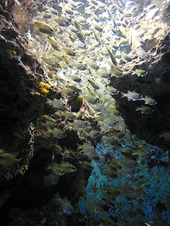 DSC00341_調整大小.JPG