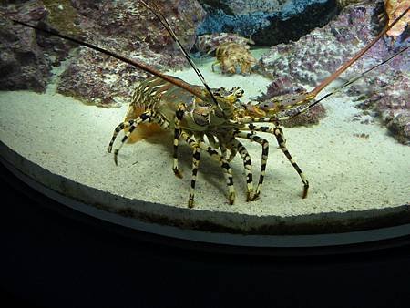 DSC00337_調整大小.JPG
