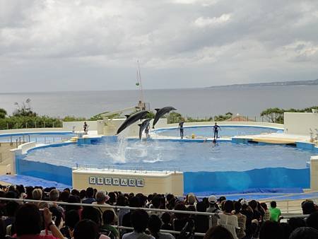 DSC00365_調整大小.JPG
