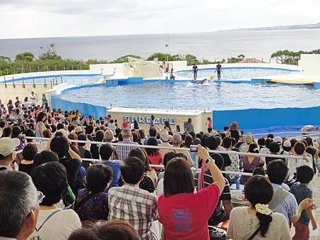 DSC00371_調整大小.JPG