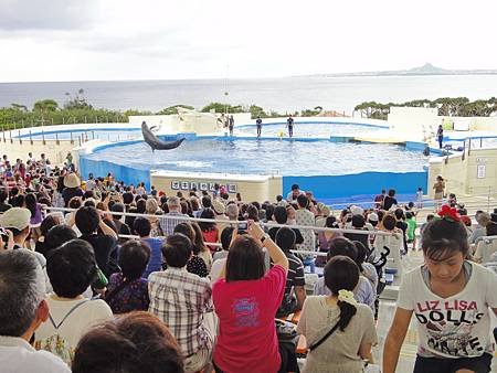 DSC00372_調整大小.JPG