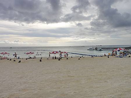 DSC00641_調整大小.JPG