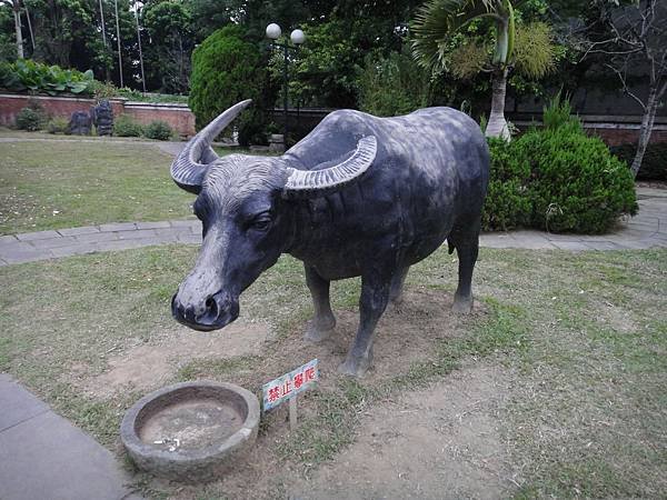 DSC03113_調整大小