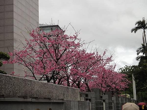 DSC04068_調整大小