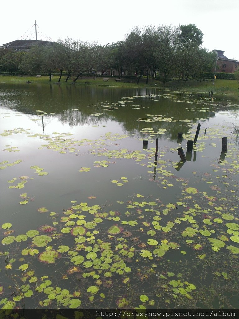 戶外景觀池