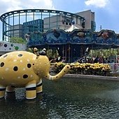 13716024_1048645928504787_4022208743349310258_n.jpg