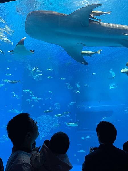 D325美麗海水族館
