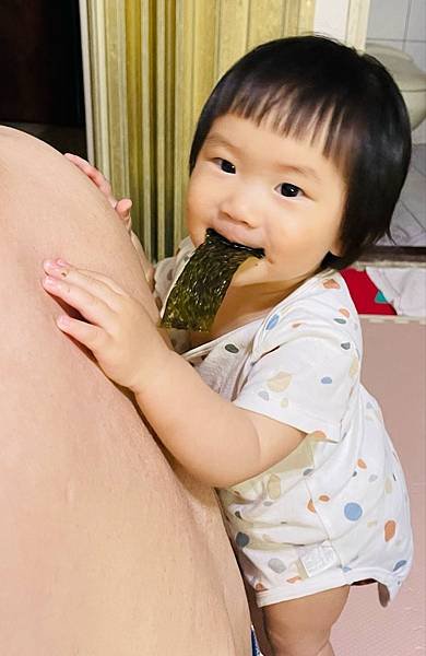 D421海苔